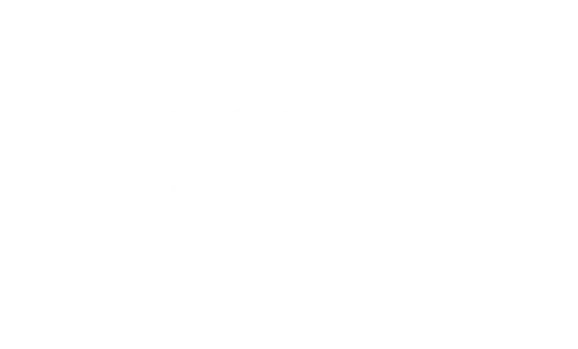 form-bio